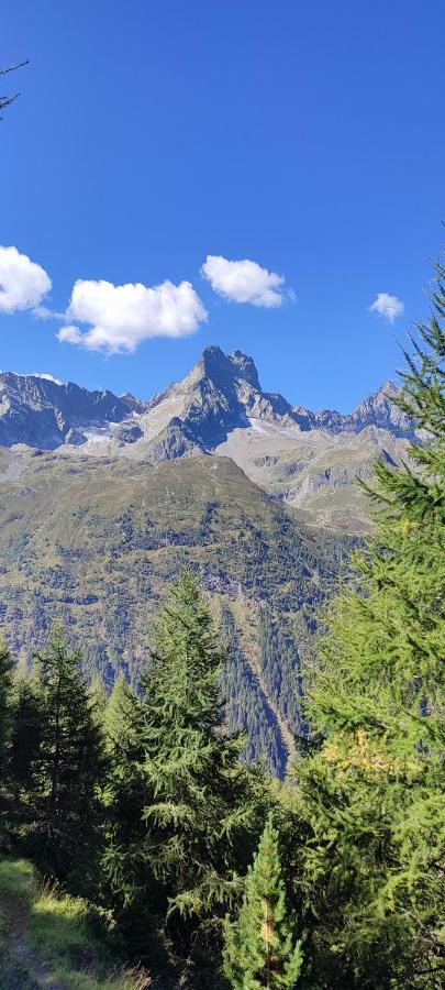 Apartament Haus Alpenrose *