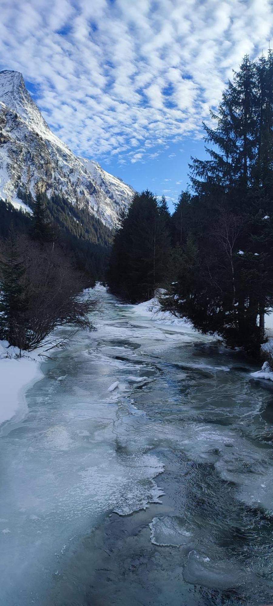 Haus Alpenrose